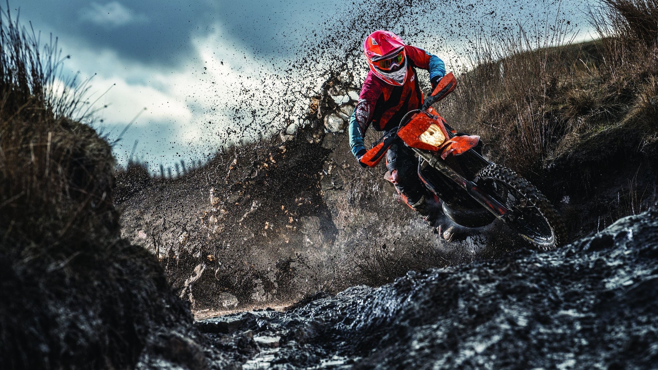 Scout重返赛场，重返赛场首场状态出色，德国队观众沸腾！热度持续攀升